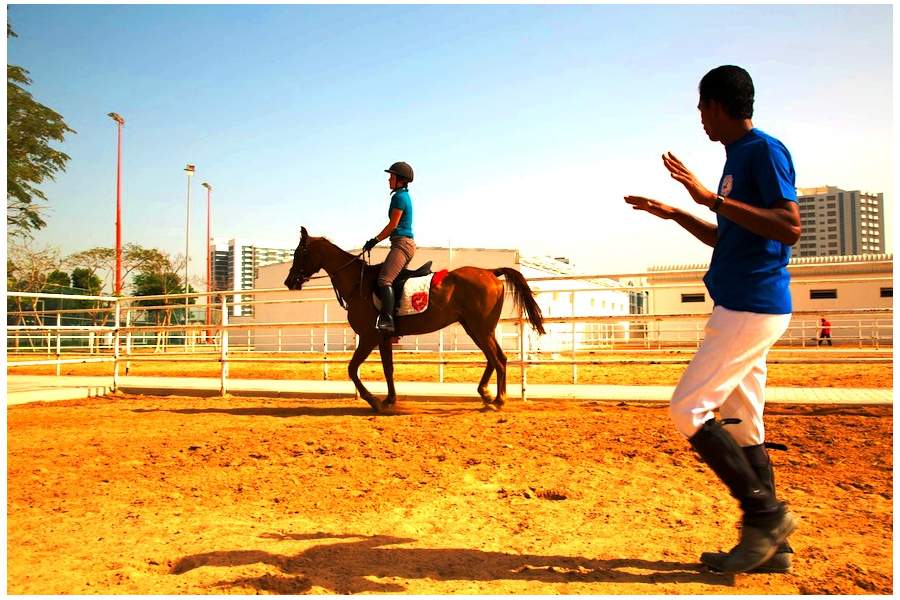 AL AHLI HORSE RIDING CLUB
